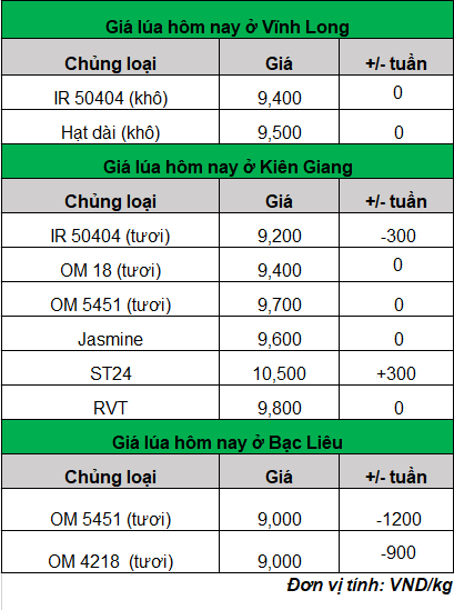 giá lúa hôm nay mới nhất_1705646738.png